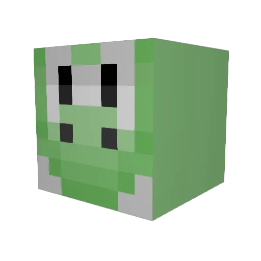 erinmartin07 Minecraft avatar head, 3D render
