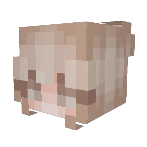 erinmurphy Minecraft avatar head, 3D render