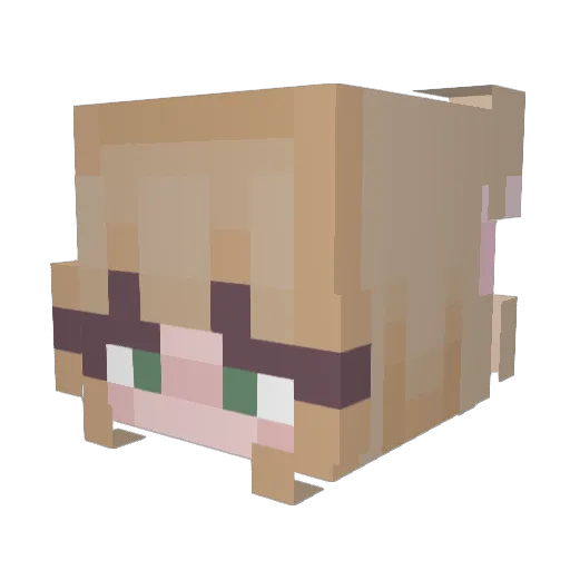 erinngrace Minecraft avatar head, 3D render