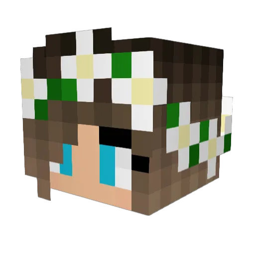 erinzacks Minecraft avatar head, 3D render