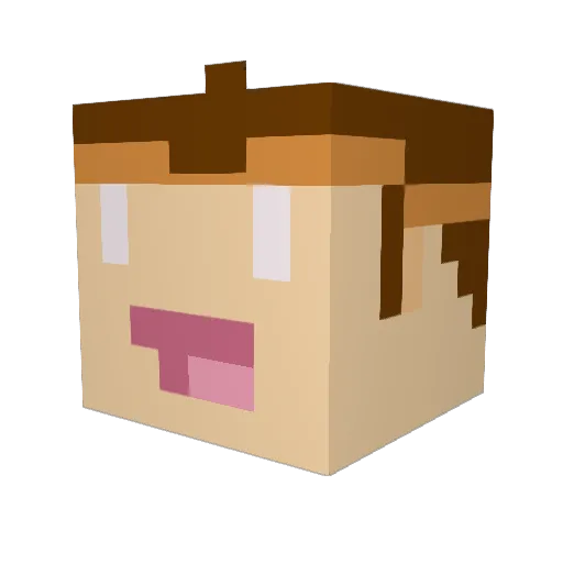 erk070 Minecraft avatar head, 3D render
