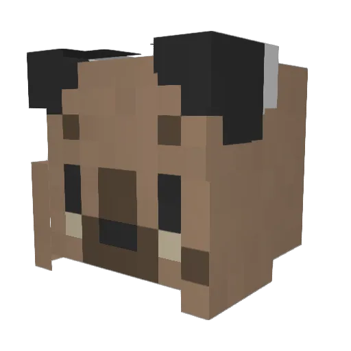 erkoy Minecraft avatar head, 3D render