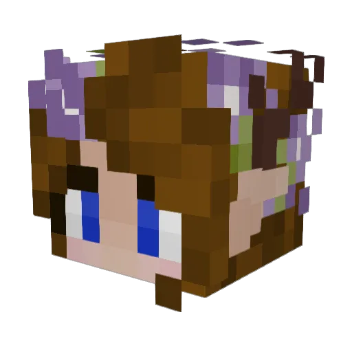 ermsunderscore Minecraft avatar head, 3D render