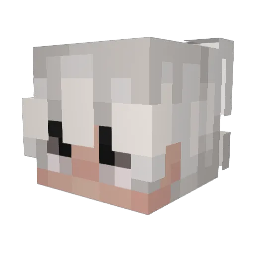 ernasti Minecraft avatar head, 3D render