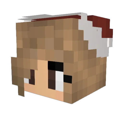 ernestik1337 Minecraft avatar head, 3D render
