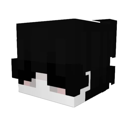 ernipazio646 Minecraft avatar head, 3D render