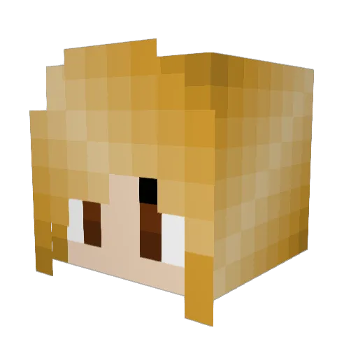 erob3711 Minecraft avatar head, 3D render