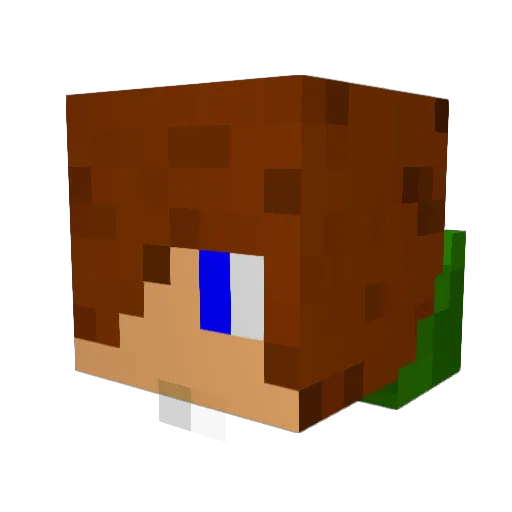 erogon625 Minecraft avatar head, 3D render