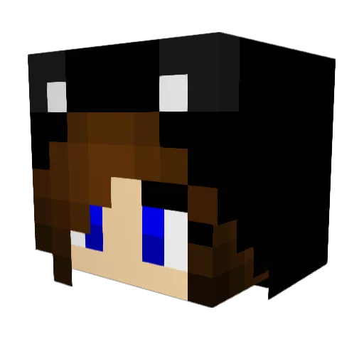 erose2002 Minecraft avatar head, 3D render