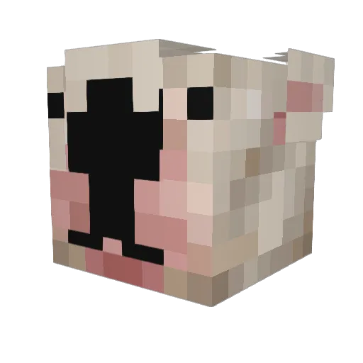 erousuks Minecraft avatar head, 3D render
