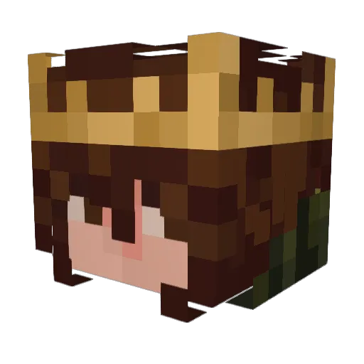 erraticmobster Minecraft avatar head, 3D render