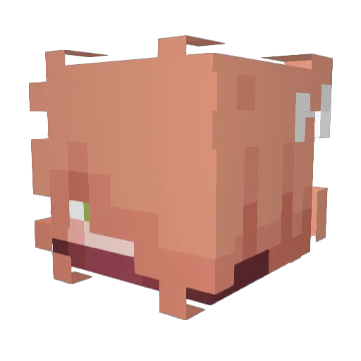 erraticsammy Minecraft avatar head, 3D render