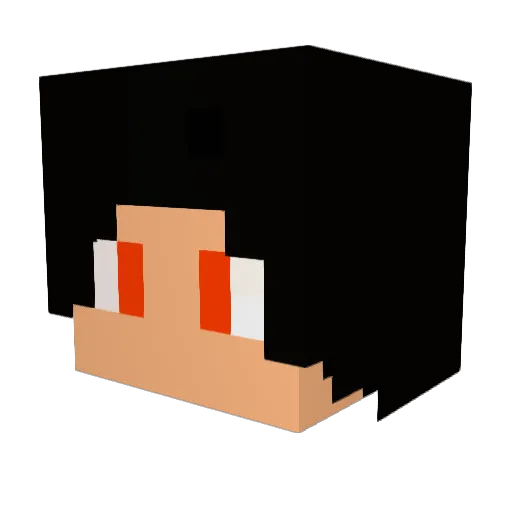 erreip2000 Minecraft avatar head, 3D render