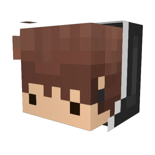 erriez Minecraft avatar head, 3D render