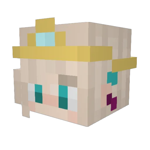 error_72 Minecraft avatar head, 3D render