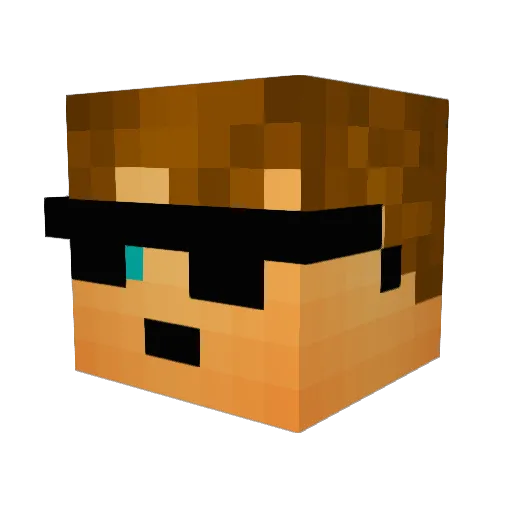 errorcode210 Minecraft avatar head, 3D render