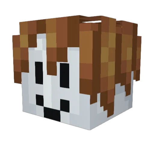 errorv12345 Minecraft avatar head, 3D render