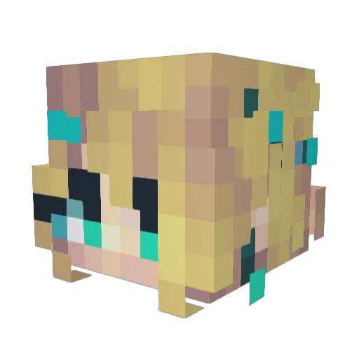 ersa1467 Minecraft avatar head, 3D render
