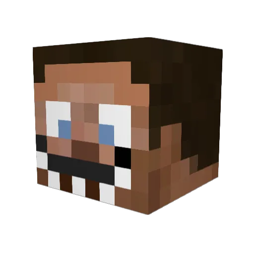 erten_fjerten Minecraft avatar head, 3D render