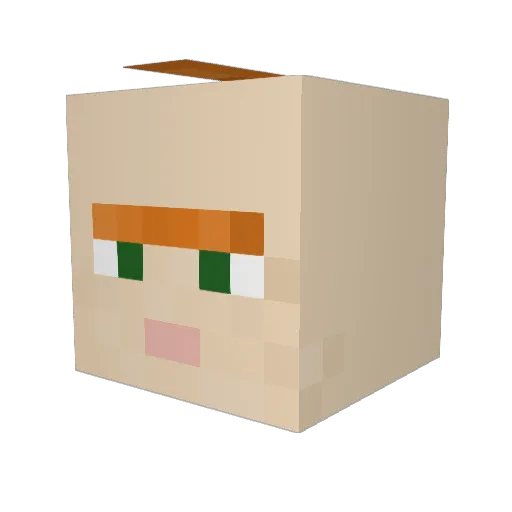 eruaan Minecraft avatar head, 3D render