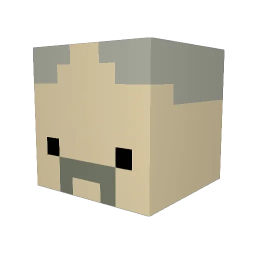 eruptshotz Minecraft avatar head, 3D render
