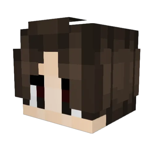 erut008 Minecraft avatar head, 3D render