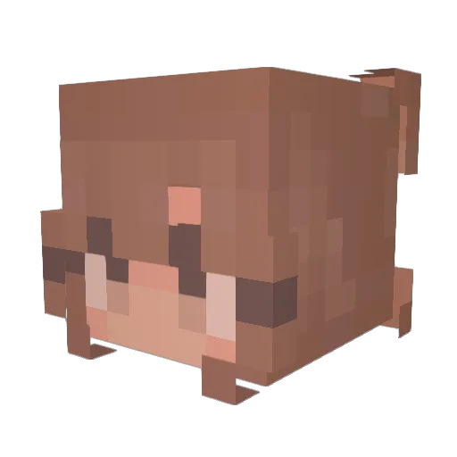 erv23 Minecraft avatar head, 3D render