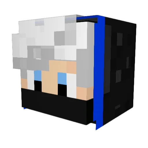 ervic26 Minecraft avatar head, 3D render