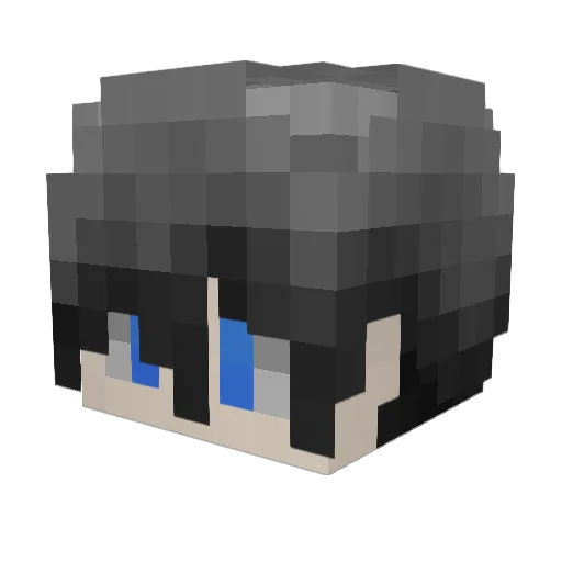 ervz1 Minecraft avatar head, 3D render