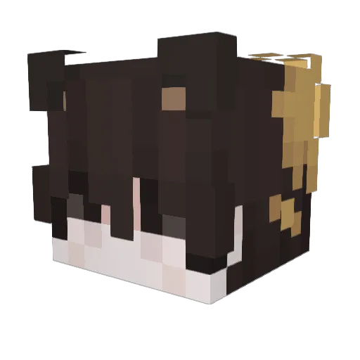 erwin616 Minecraft avatar head, 3D render