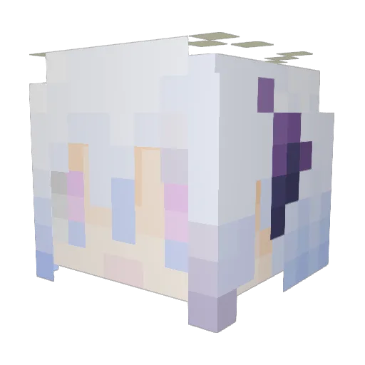 erwuzai25 Minecraft avatar head, 3D render