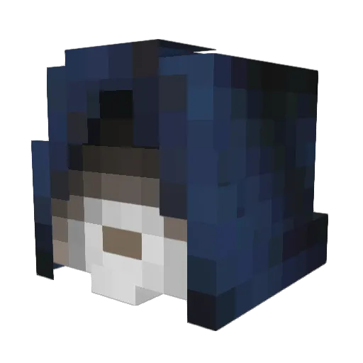 erxorsict Minecraft avatar head, 3D render