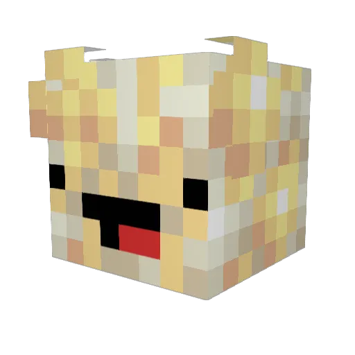 es1aT_2 Minecraft avatar head, 3D render