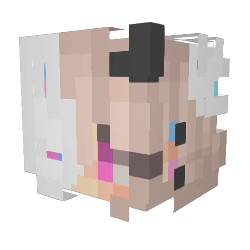 es_q_mi Minecraft avatar head, 3D render