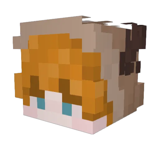 esaintx Minecraft avatar head, 3D render