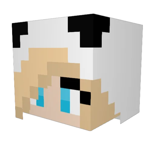 esal22 Minecraft avatar head, 3D render