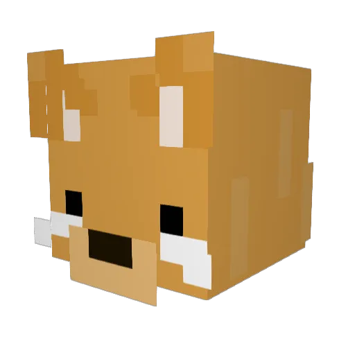 eschwim Minecraft avatar head, 3D render