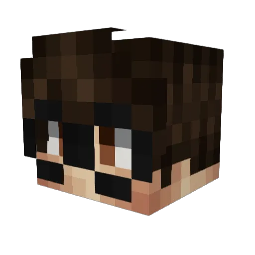 esel1919 Minecraft avatar head, 3D render