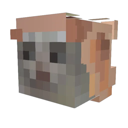 Minecraft-Avatar von esfarelado: Kopf als 3D-Render