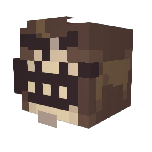 esinaballs Minecraft avatar head, 3D render