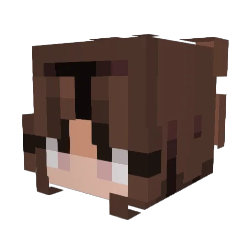 esit248 Minecraft avatar head, 3D render