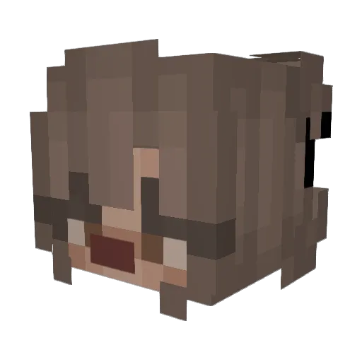 eskye14 Minecraft avatar head, 3D render