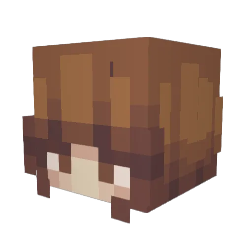 esmetheepic Minecraft avatar head, 3D render