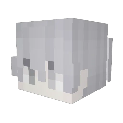esoulcat Minecraft avatar head, 3D render