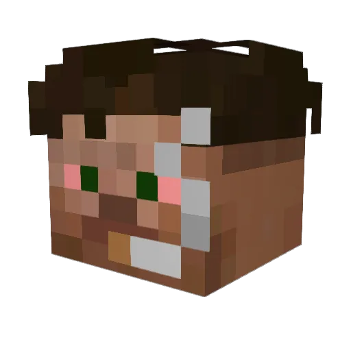 espTill Minecraft avatar head, 3D render