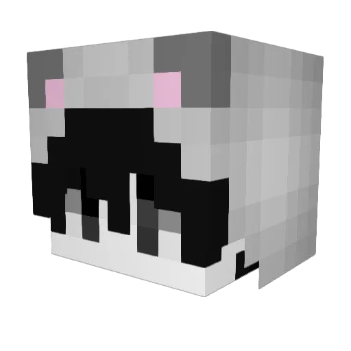 espanhw Minecraft avatar head, 3D render