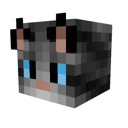 espyness Minecraft avatar head, 3D render