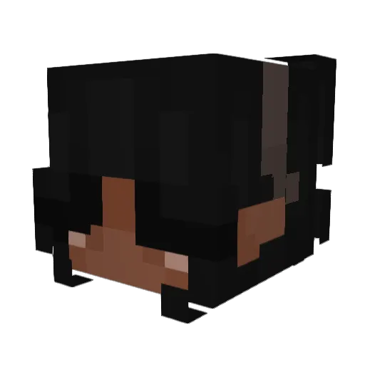 essayknee Minecraft avatar head, 3D render