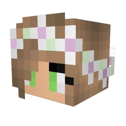 esses4120 Minecraft avatar head, 3D render