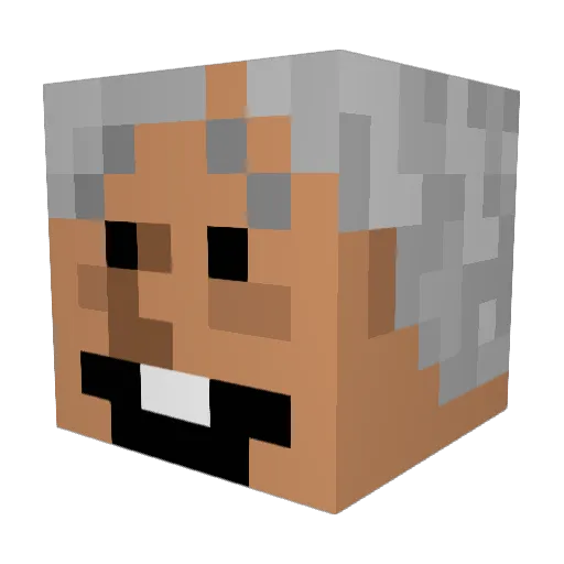 esssss_ Minecraft avatar head, 3D render